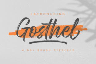 Gosthel Typeface: A Designer’s Review