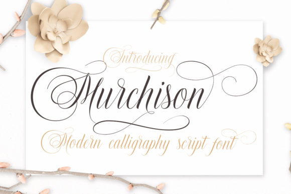 Murchison: A Bold Script Font for Modern Web Design